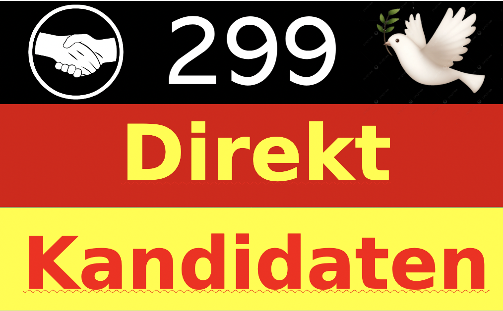 299direktkandidaten.de